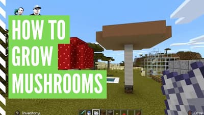 how to grow mushrooms in minecraft