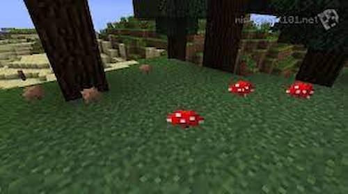 how to grow mushrooms in nether