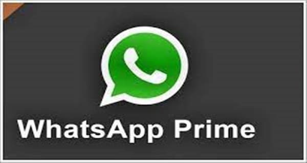 whatsapp prime