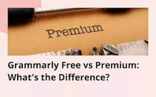 difference between grammarly free and premium