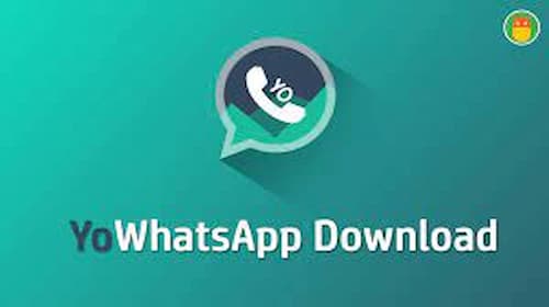  yowhatsapp apk download latest version